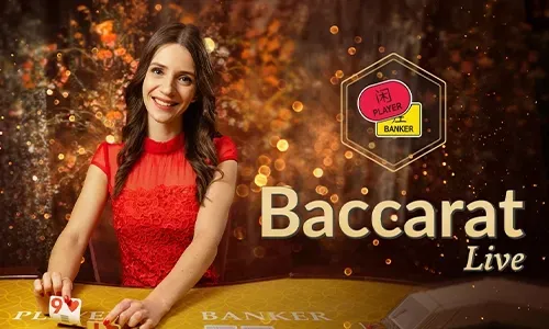Guide to Live Casino